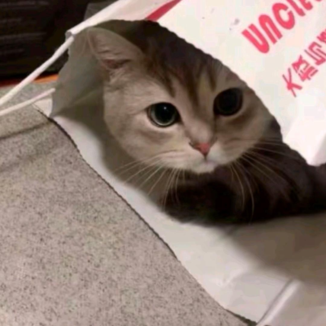 奥多算优选小铺