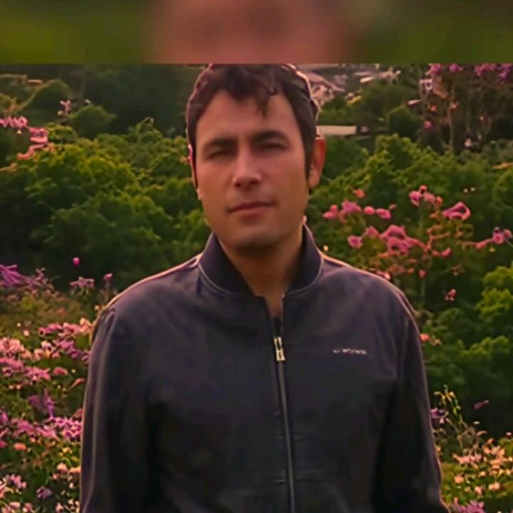 花园种花