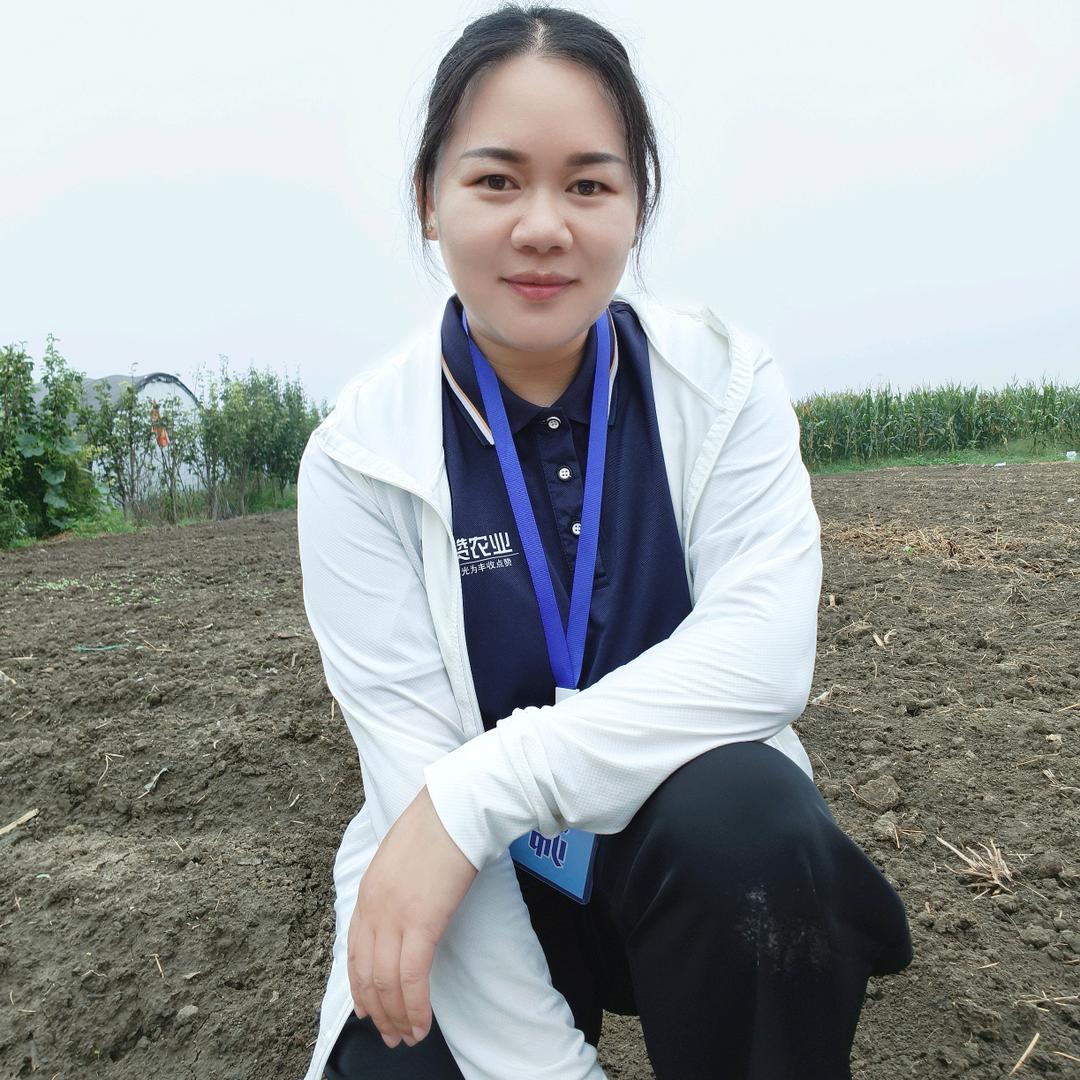 大师姐