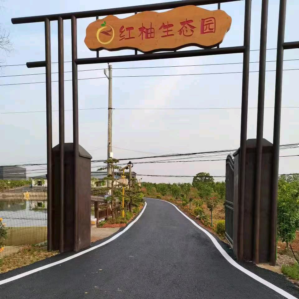 种红心柚的阿冰