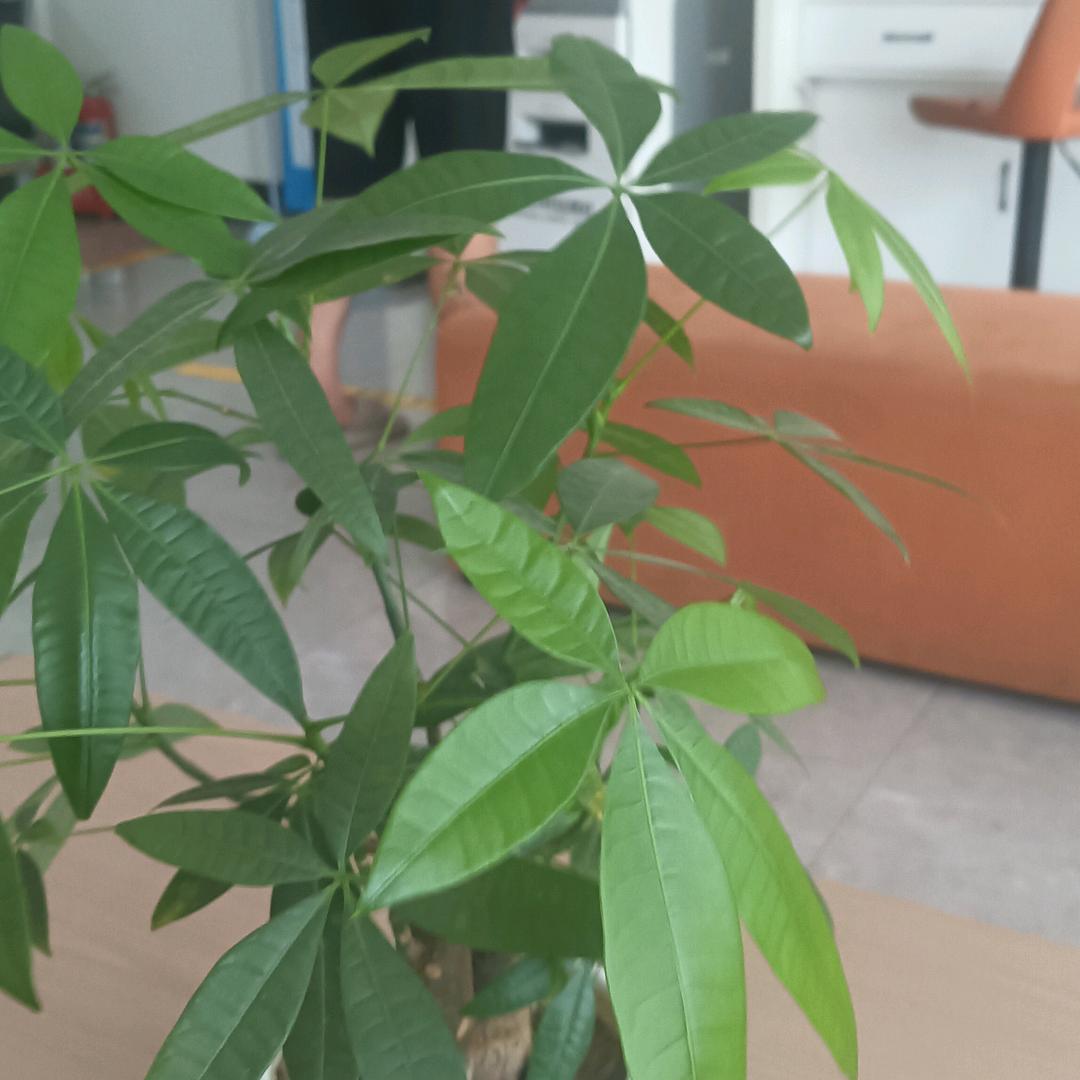 山西永济，张千万