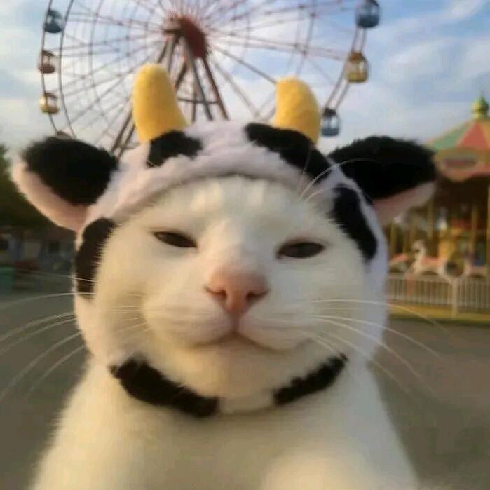 妈妈说名字太长会有傻子跟着念