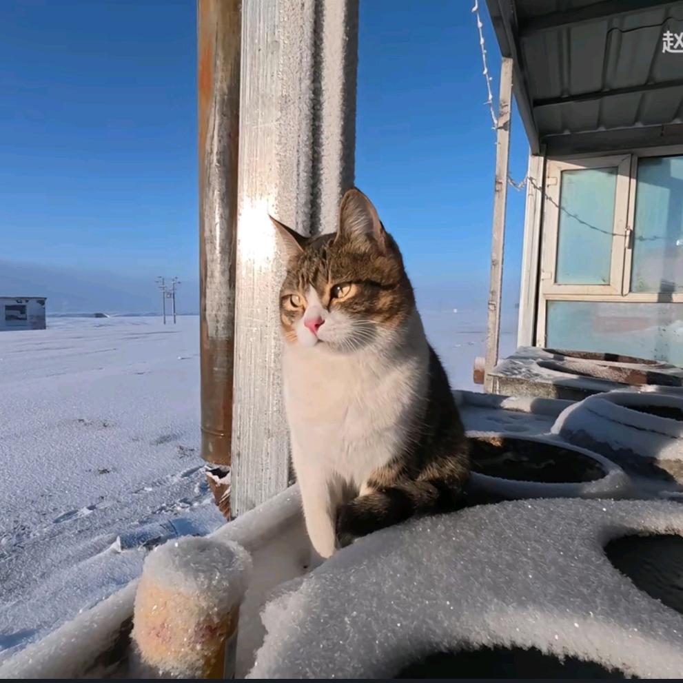 新青年（财富自由版）