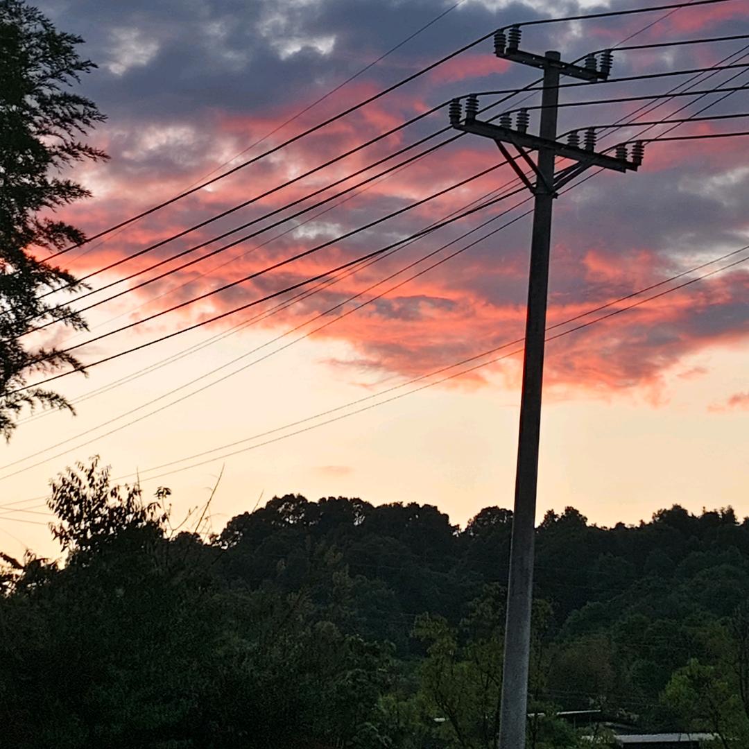 生活不曾善待过我