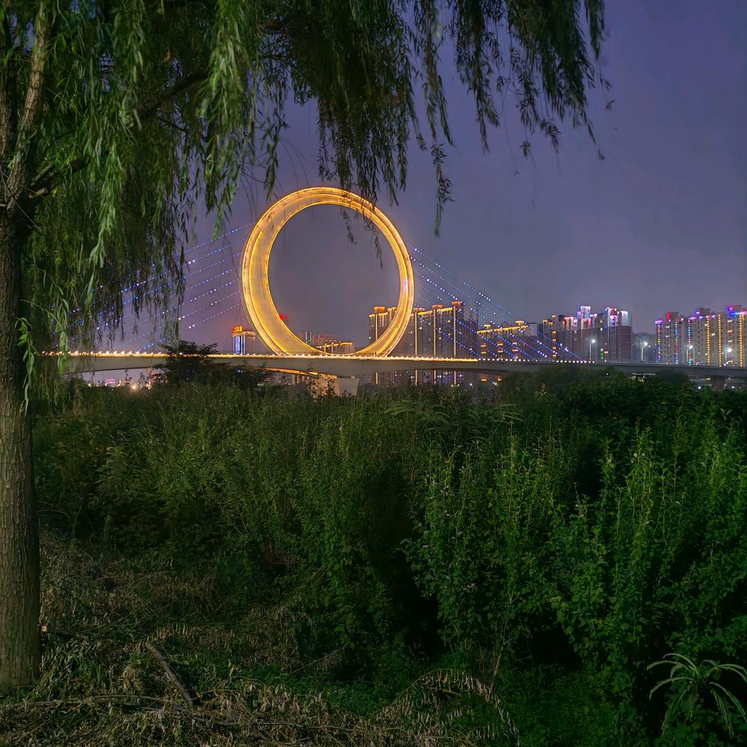 追逐我的明天