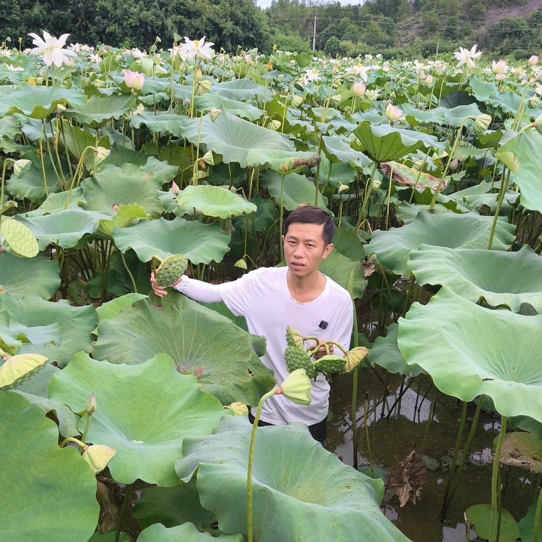 小艺家