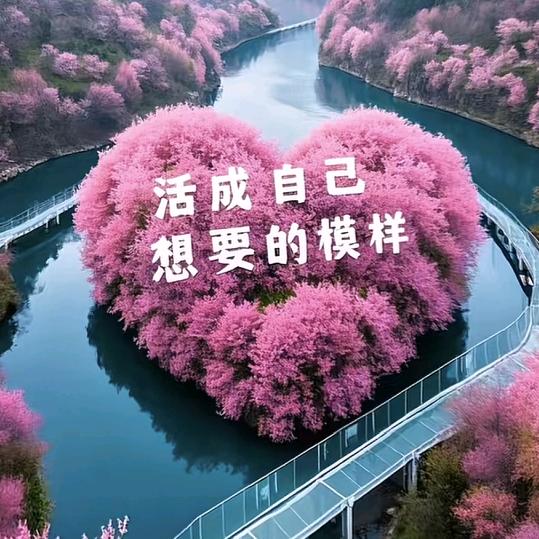 风平浪静