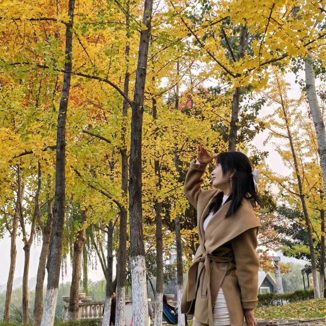 文姐(情感文案）