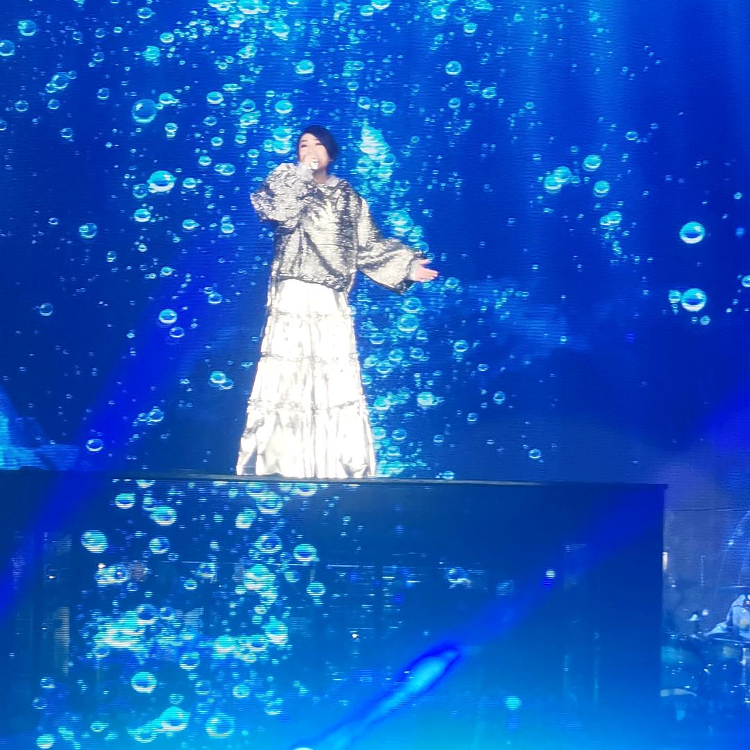 小鱼子🐟