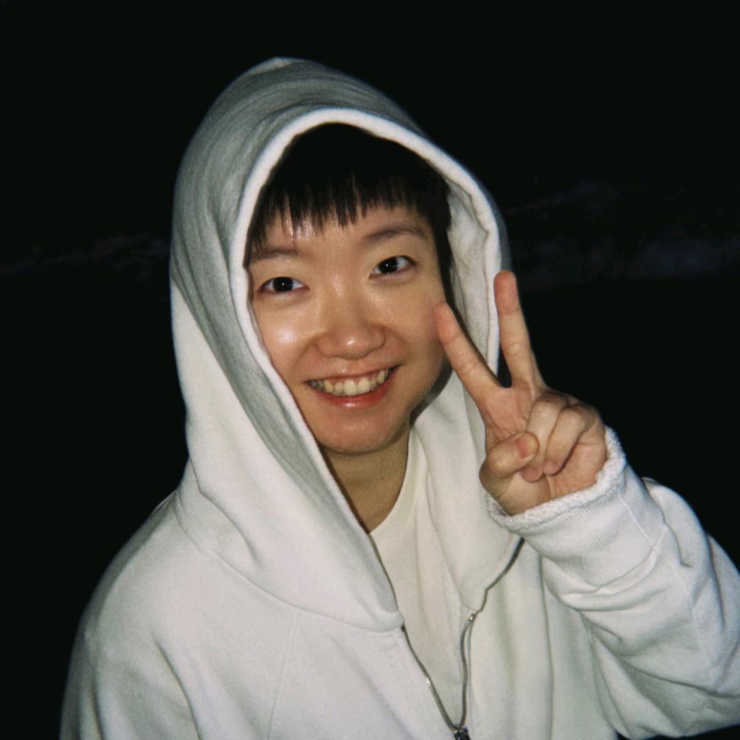 鲨鱼大王