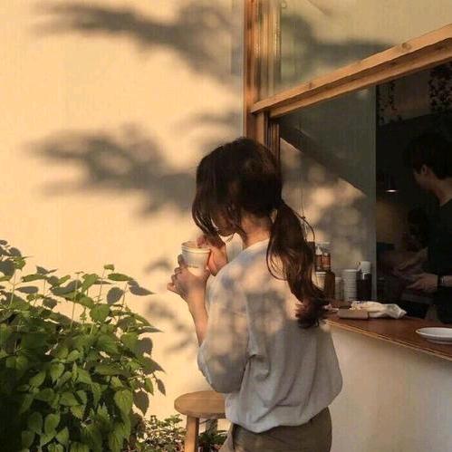 欣美袖女装