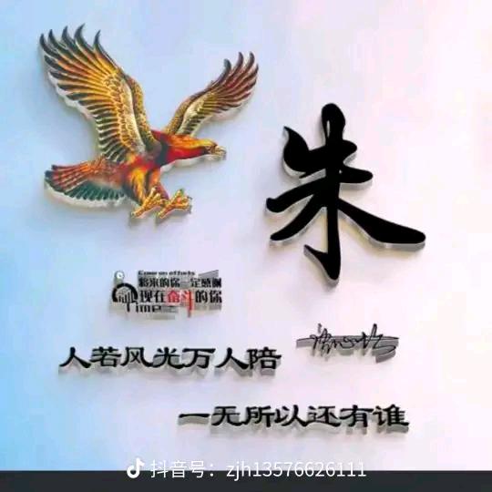 ཌ情感ༀ动天༺