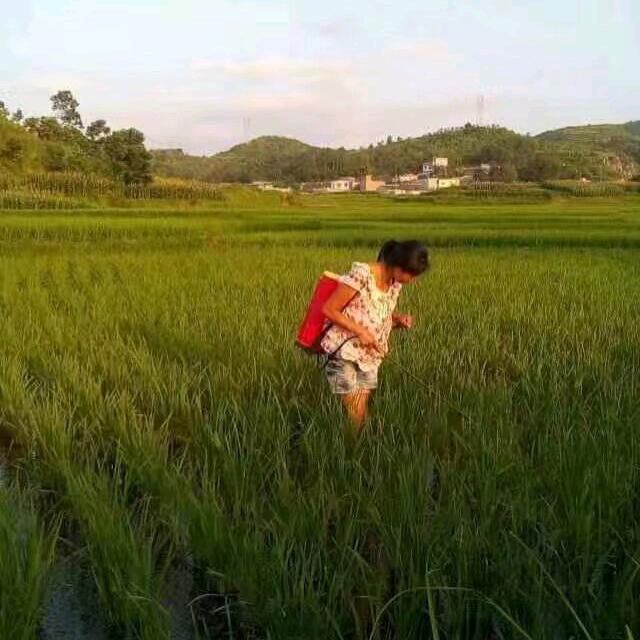 贵州付姐好物分享）
