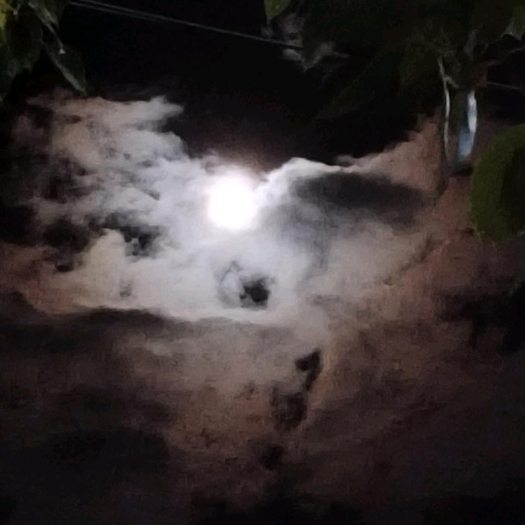 余生只为你而来