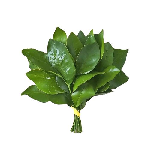 平静的白馒头
