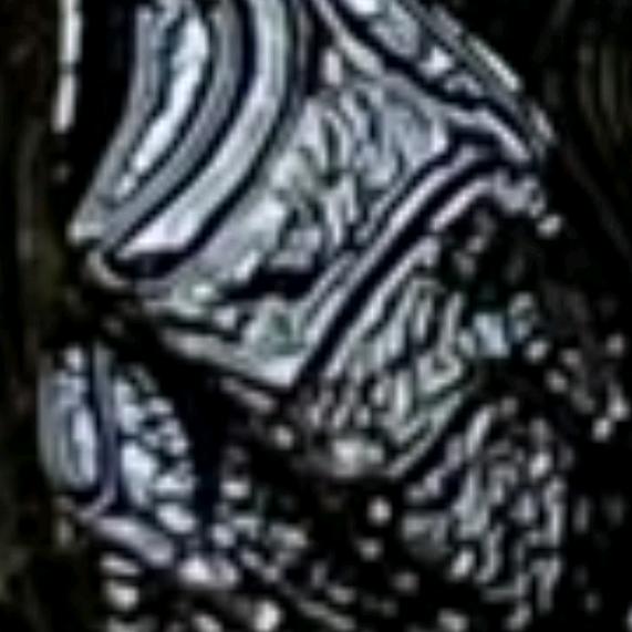 用户835777686