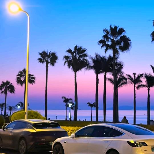 捌月（三角洲）