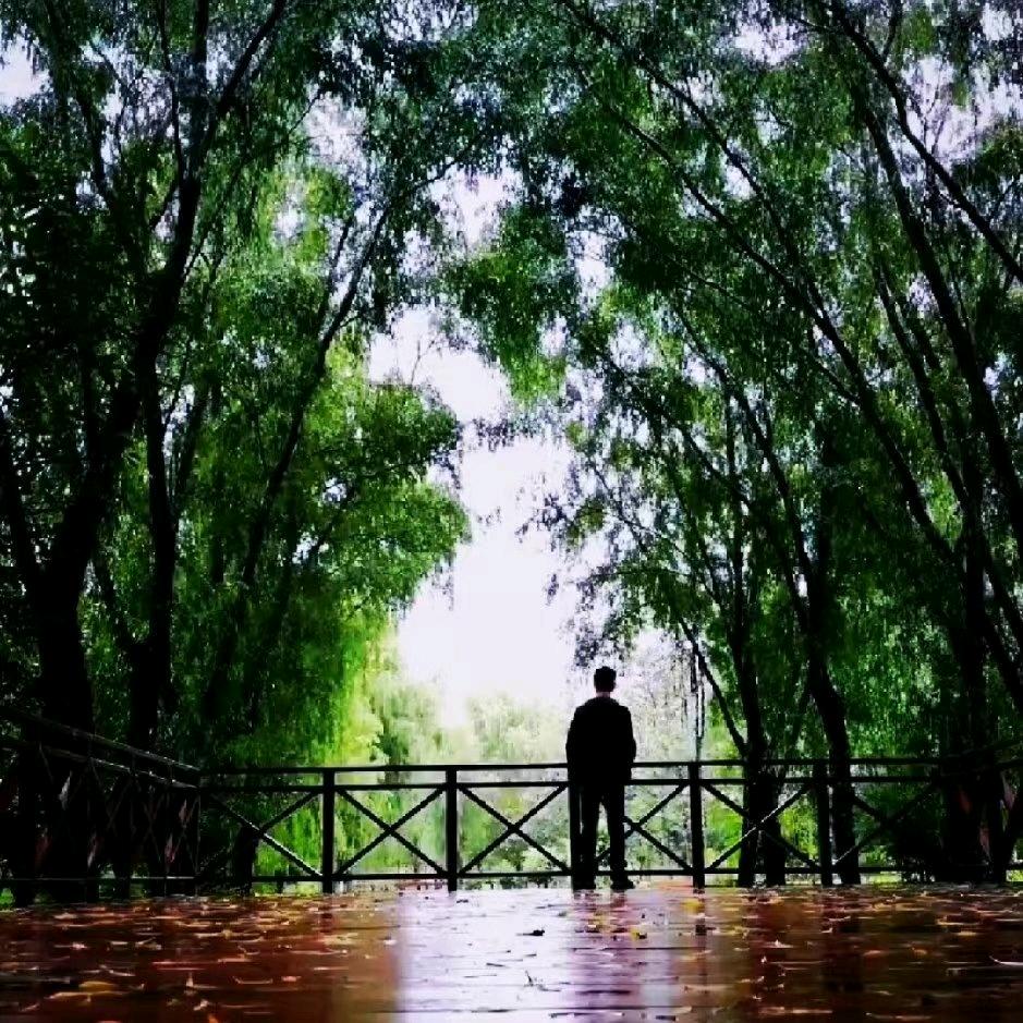 商洛｛再生资源｝回收