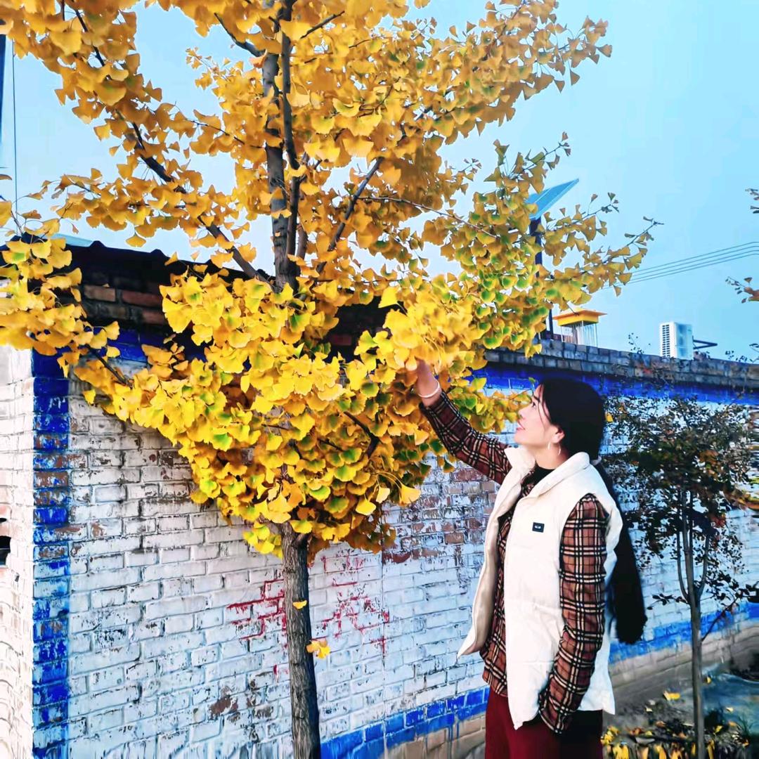 🌹💐秋水伊人💐🌹