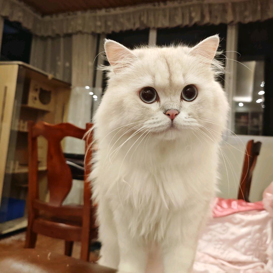 看天行事