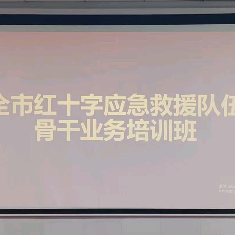 蓝天救援