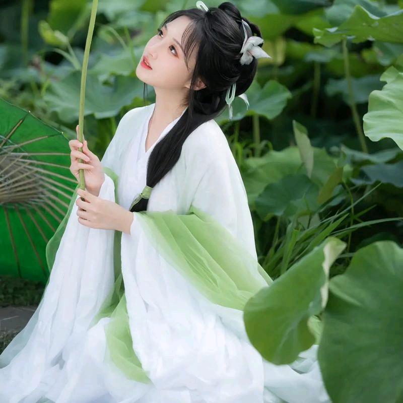 雨后的小荷