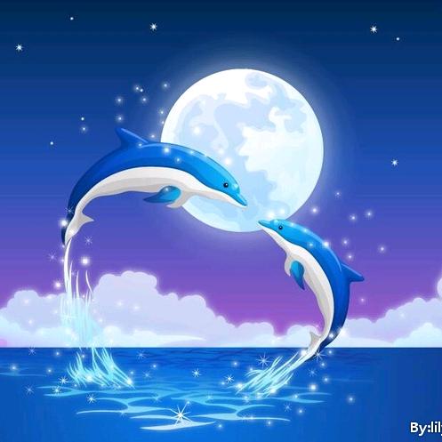 🐬傻丫头pan🐬