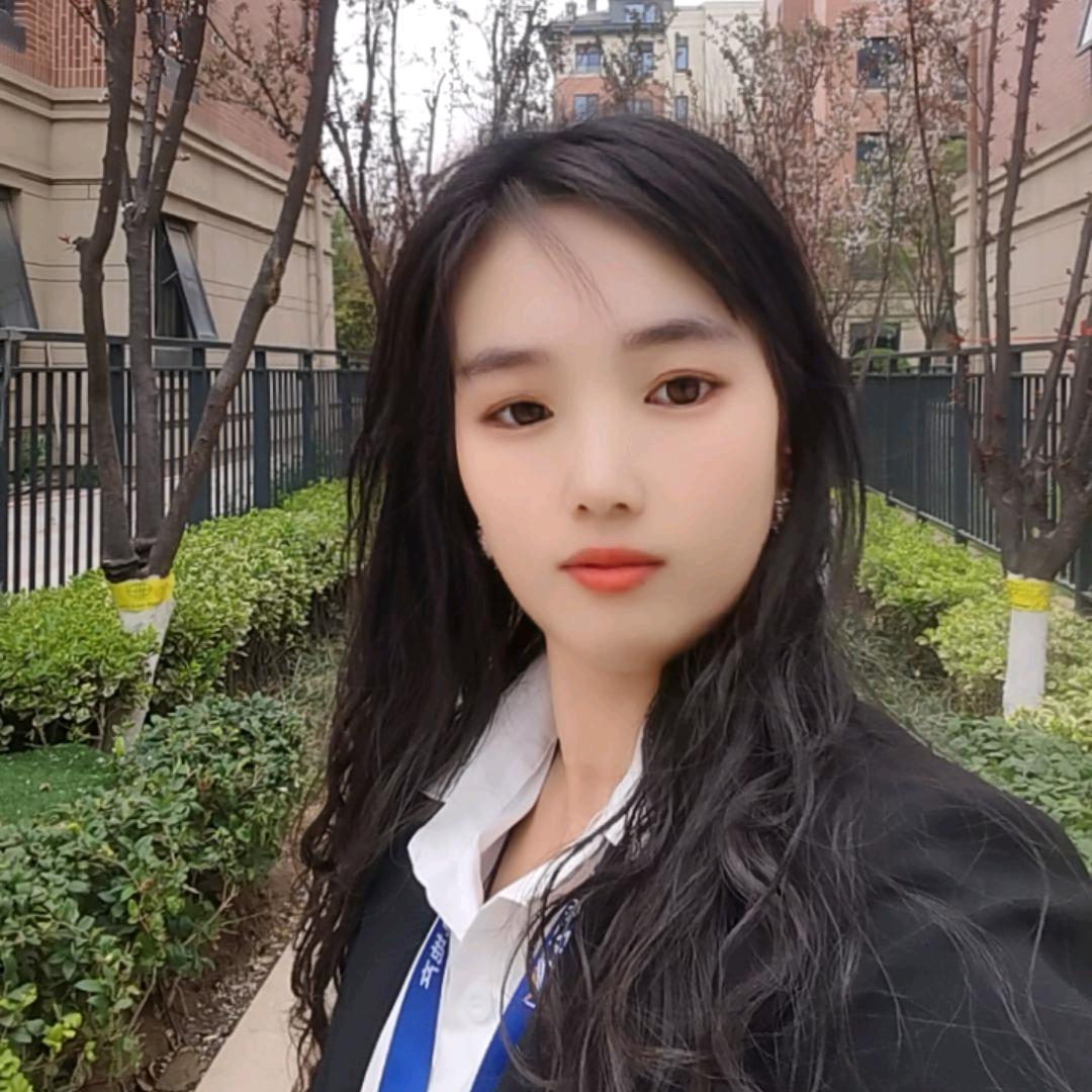 平原新区二手房