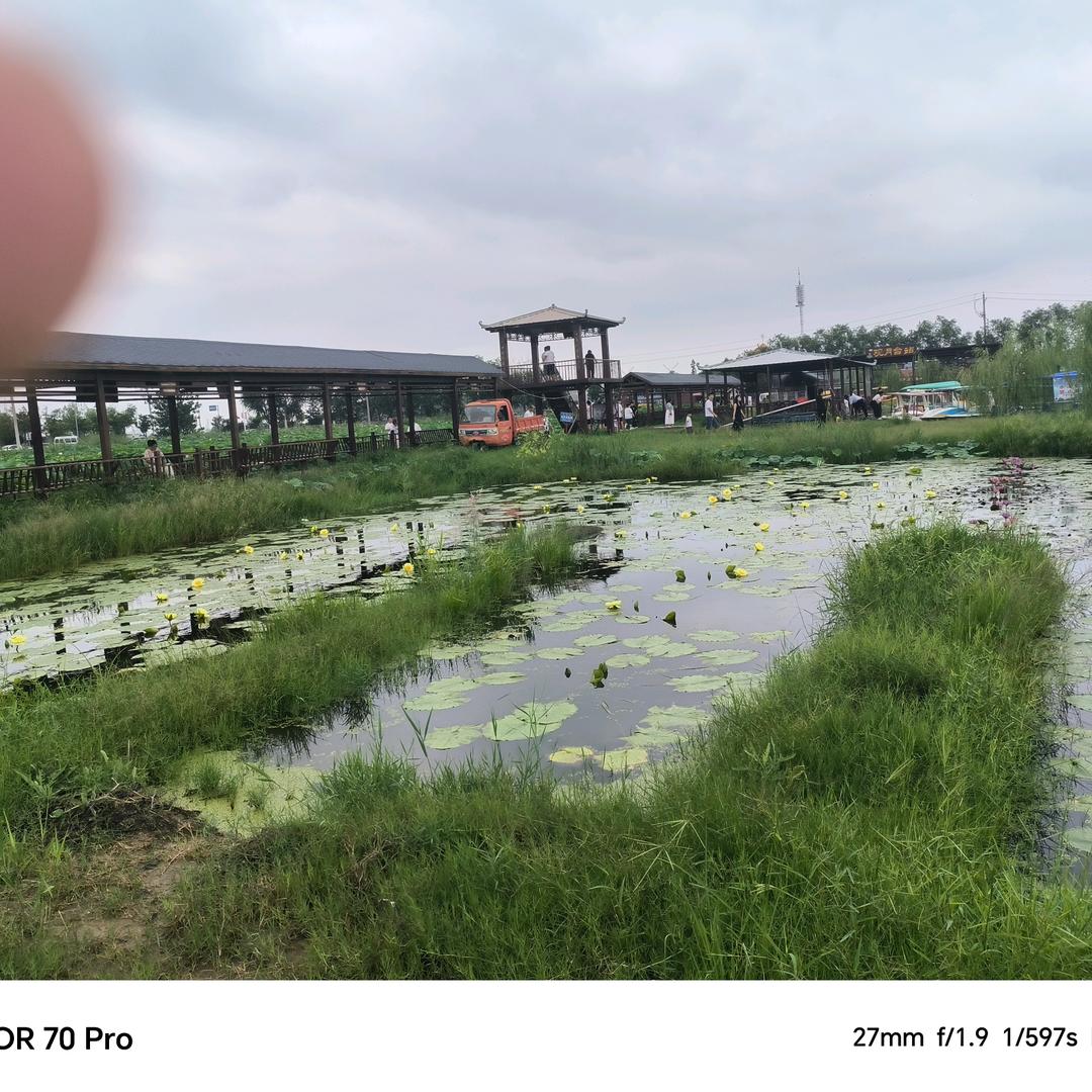 不发胖，只发财