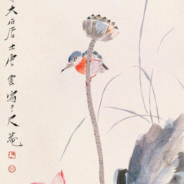qiog姐