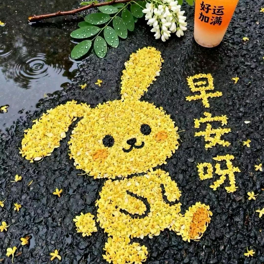 高考升学规划-张老师