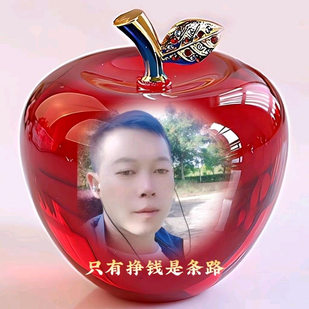 只有挣钱是条路