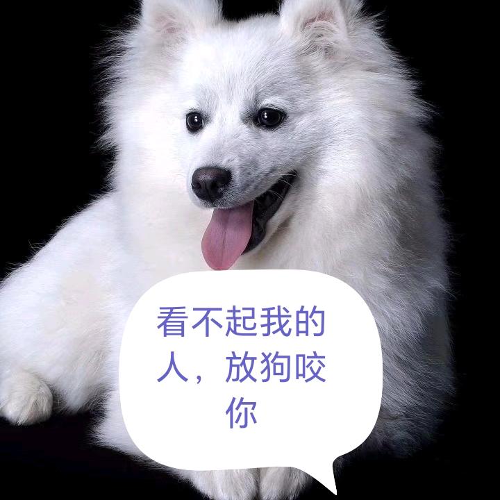 90后的仙仙姐