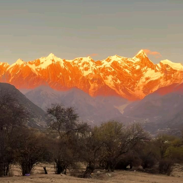 🌈💨🐟🐔小张🐟🐔🌈💨