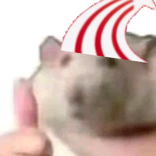 🌹春暖花开🌹