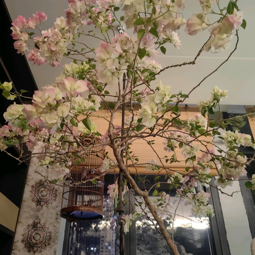 老潘玩空间