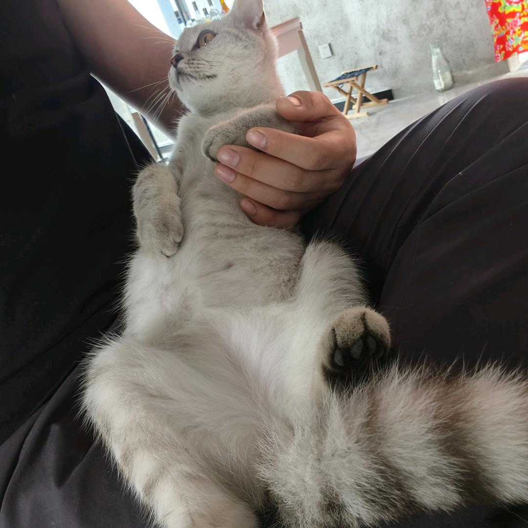 探清水河