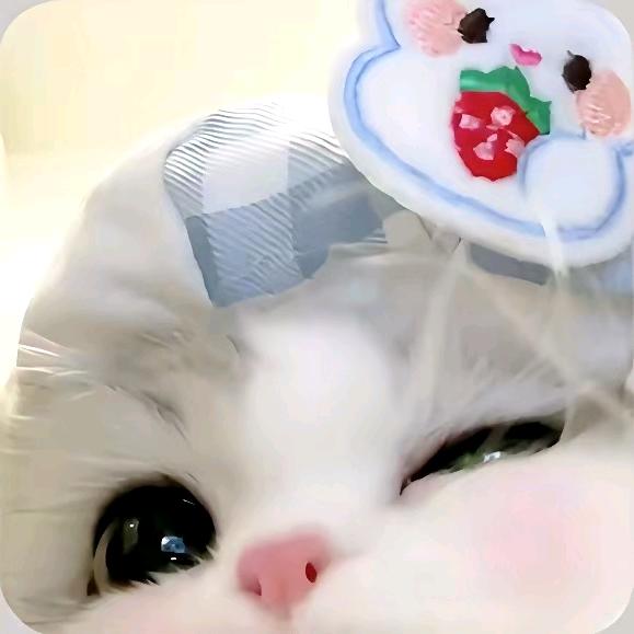夜聆江南雨声✧٩(ˊωˋ*)و✧