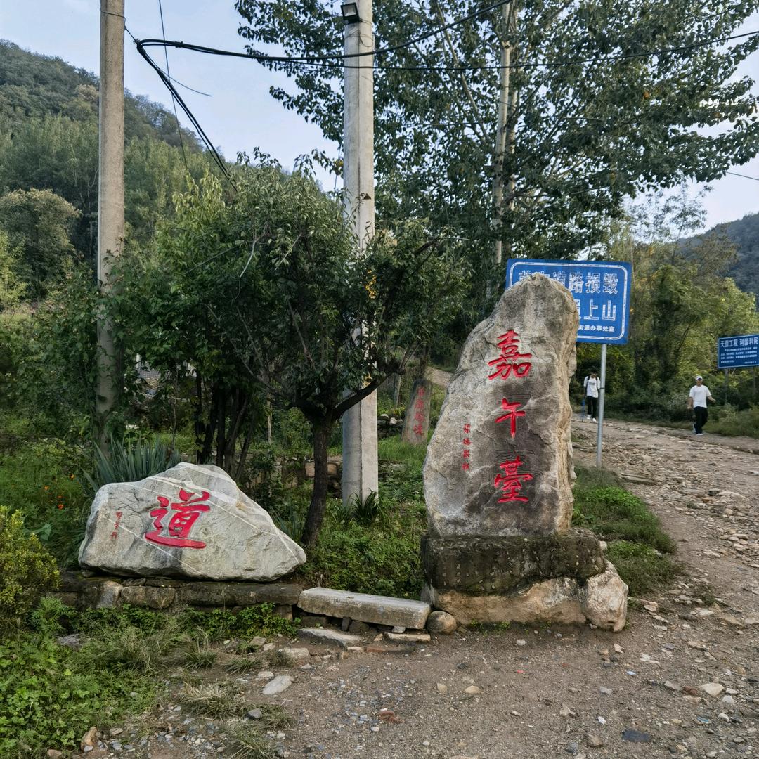 1255@