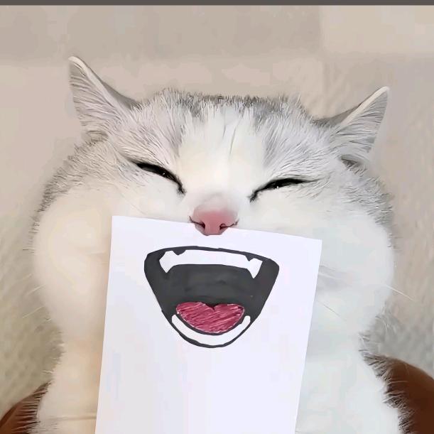 -晨