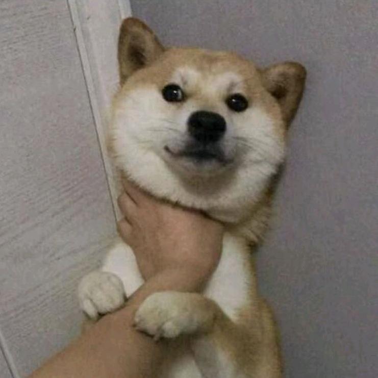 嫑忈
