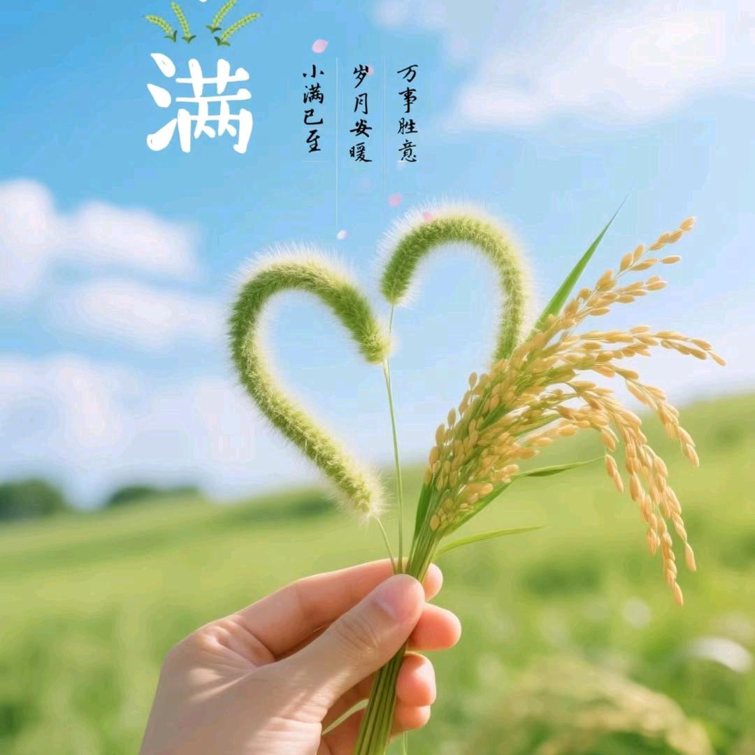 小罗