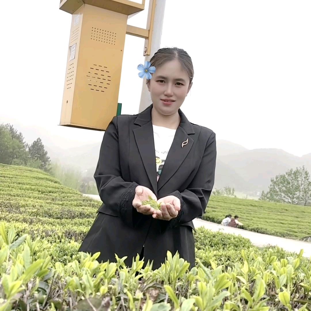 何必计较太多