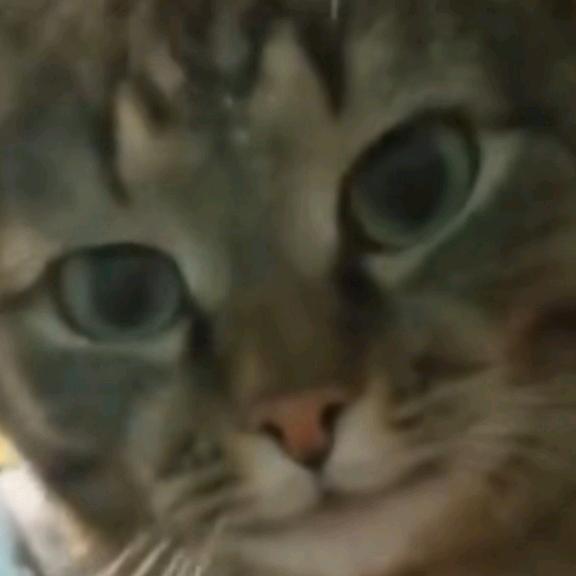 路远