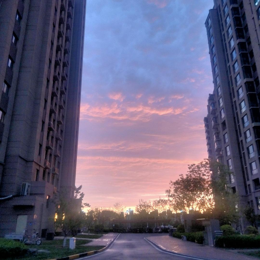 红鲤鱼与绿鲤鱼与驴