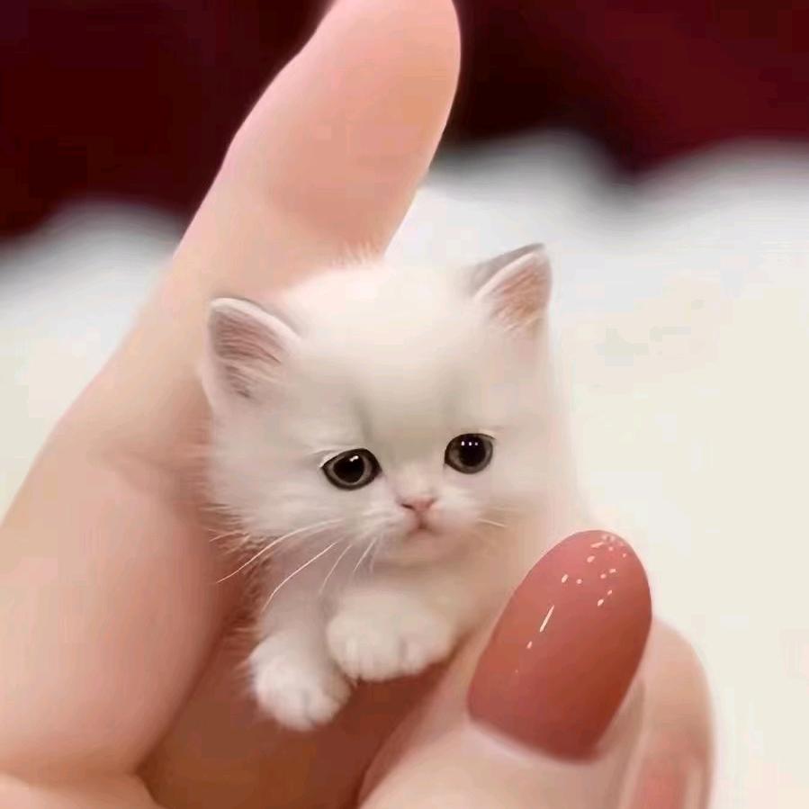 时间磨平了棱角