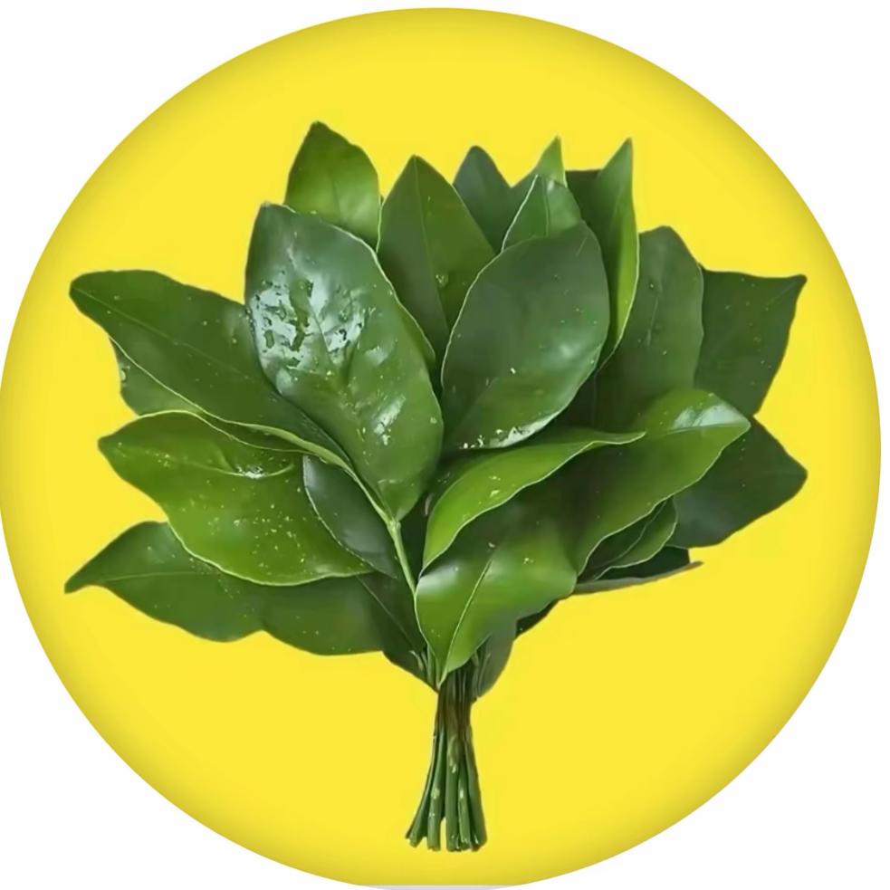 🇨🇳💞一劳永逸💞᭄