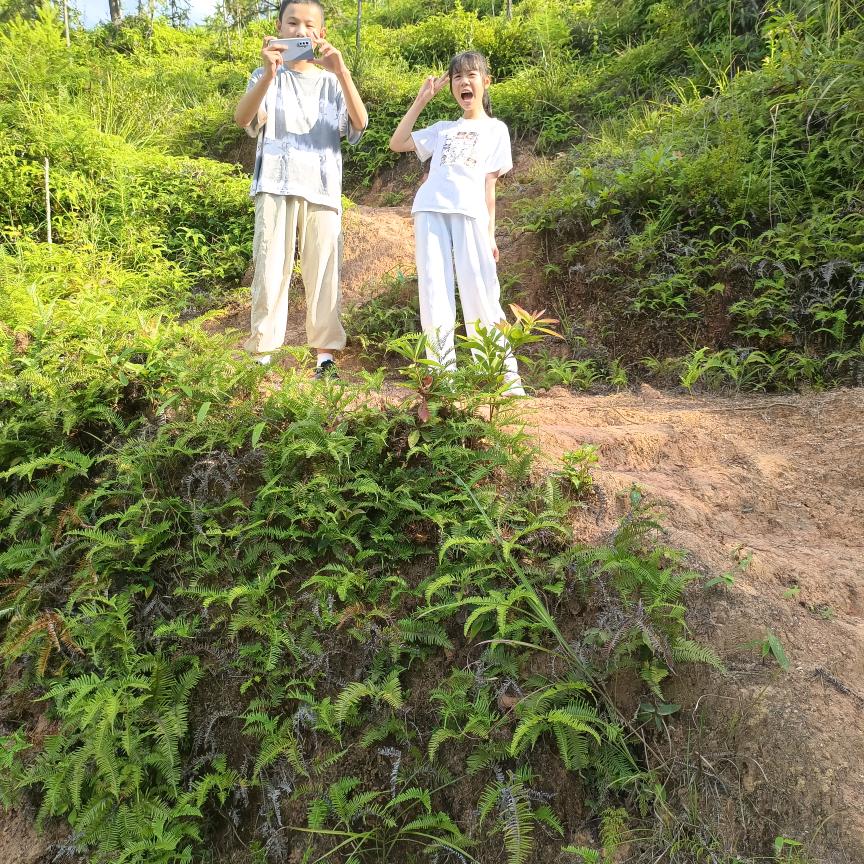 龙西山