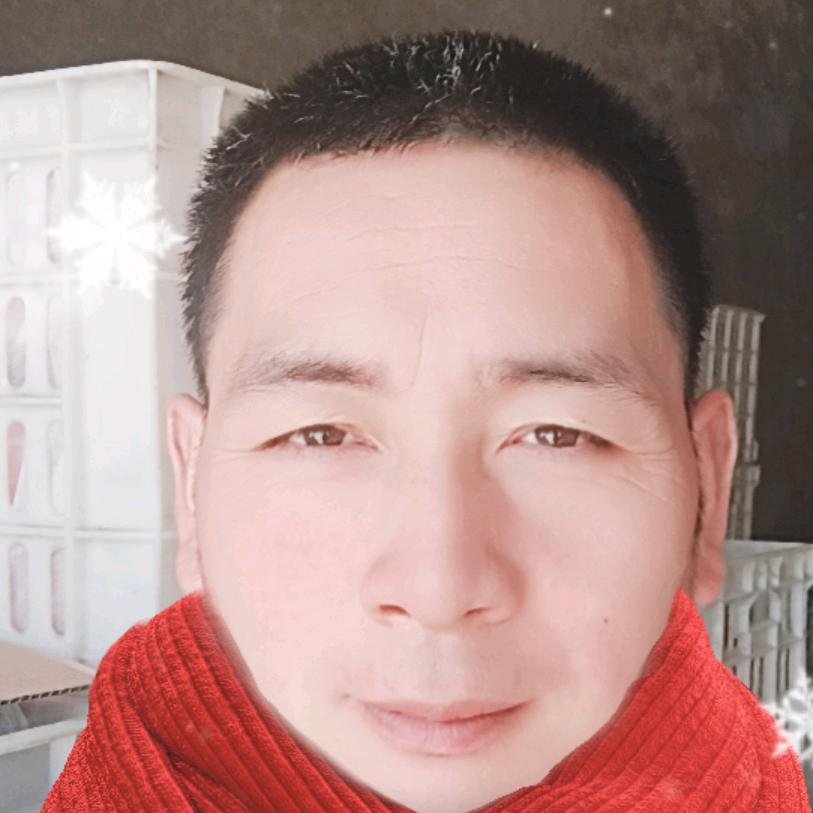 柿饼哥