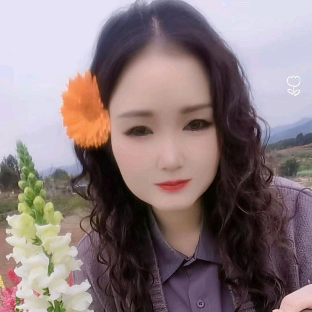 快乐的单身老太婆